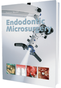 Endodontic Microsurgery, Enrique Merino
