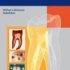 Endodontology, 2nd edition (Baumann & Beer)