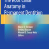 The Root Canal Anatomy in Permanent Dentition
