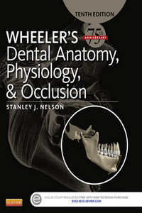 Wheeler’s Dental Anatomy Physiology and Occlusion, 10th Edition