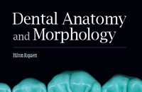 Dental Anatomy and Morphology