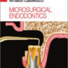 Microsurgical Endodontics