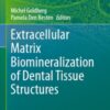 Extracellular Matrix Biomineralization of Dental Tissue Structure