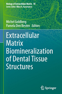 Extracellular Matrix Biomineralization of Dental Tissue Structure