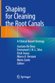 Shaping for Cleaning the Root Canals: A Clinical-Based Strategy