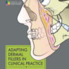 Adapting Dermal Fillers in Clinical Practice