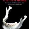 The Mandible: An Atlas of Osteological and Radiological Anatomy