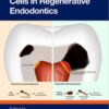 3D Organoids and Stem Cells in Regenerative Endodontics